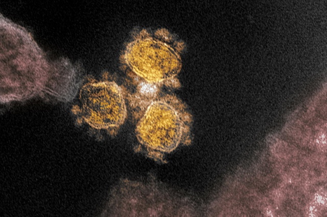 Virus si Propilen Glicol